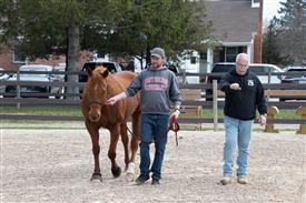 LR-WRF 0402026 Retreat-3146